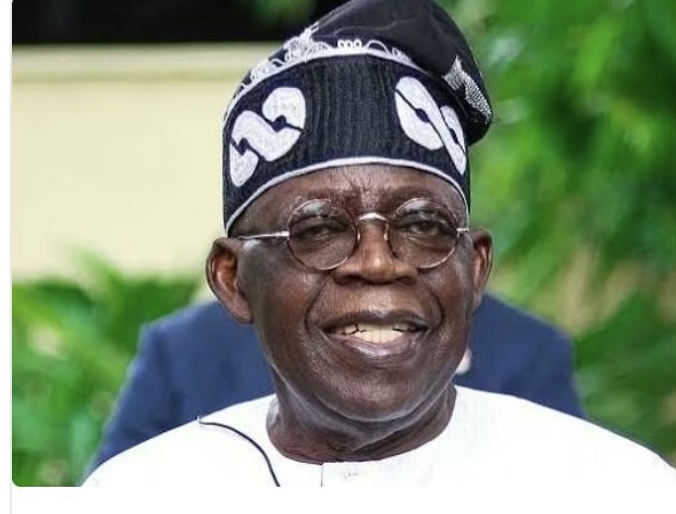 Federal government launches platform to connect diasporas to local institutions