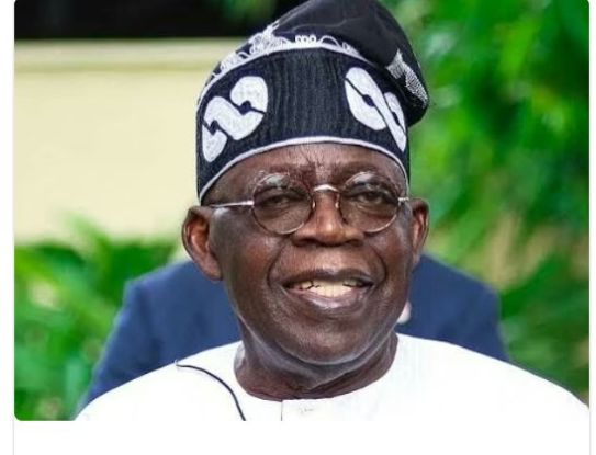 Federal government lunches platform to connect diasporans to local institution.